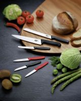 Messer f�r Hausgebrauch